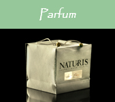 les premières toiles